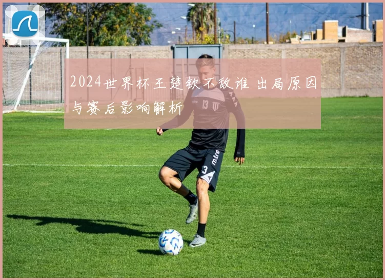 2024世界杯王楚钦不敌谁 出局原因与赛后影响解析