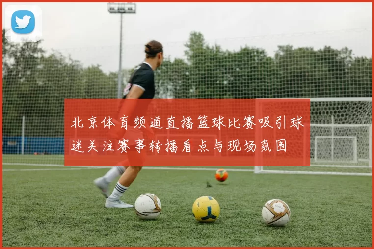 北京体育频道直播篮球比赛吸引球迷关注赛事转播看点与现场氛围