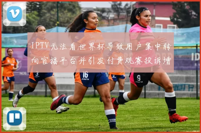 IPTV无法看世界杯导致用户集中转向官播平台并引发付费观赛投诉增多