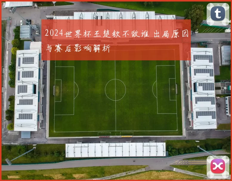 2024世界杯王楚钦不敌谁 出局原因与赛后影响解析