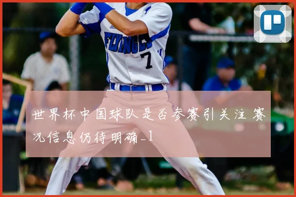 世界杯中国球队是否参赛引关注 赛况信息仍待明确_1