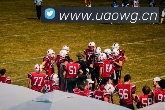 J9九游会·(中国)首页登录入口APP 封面图